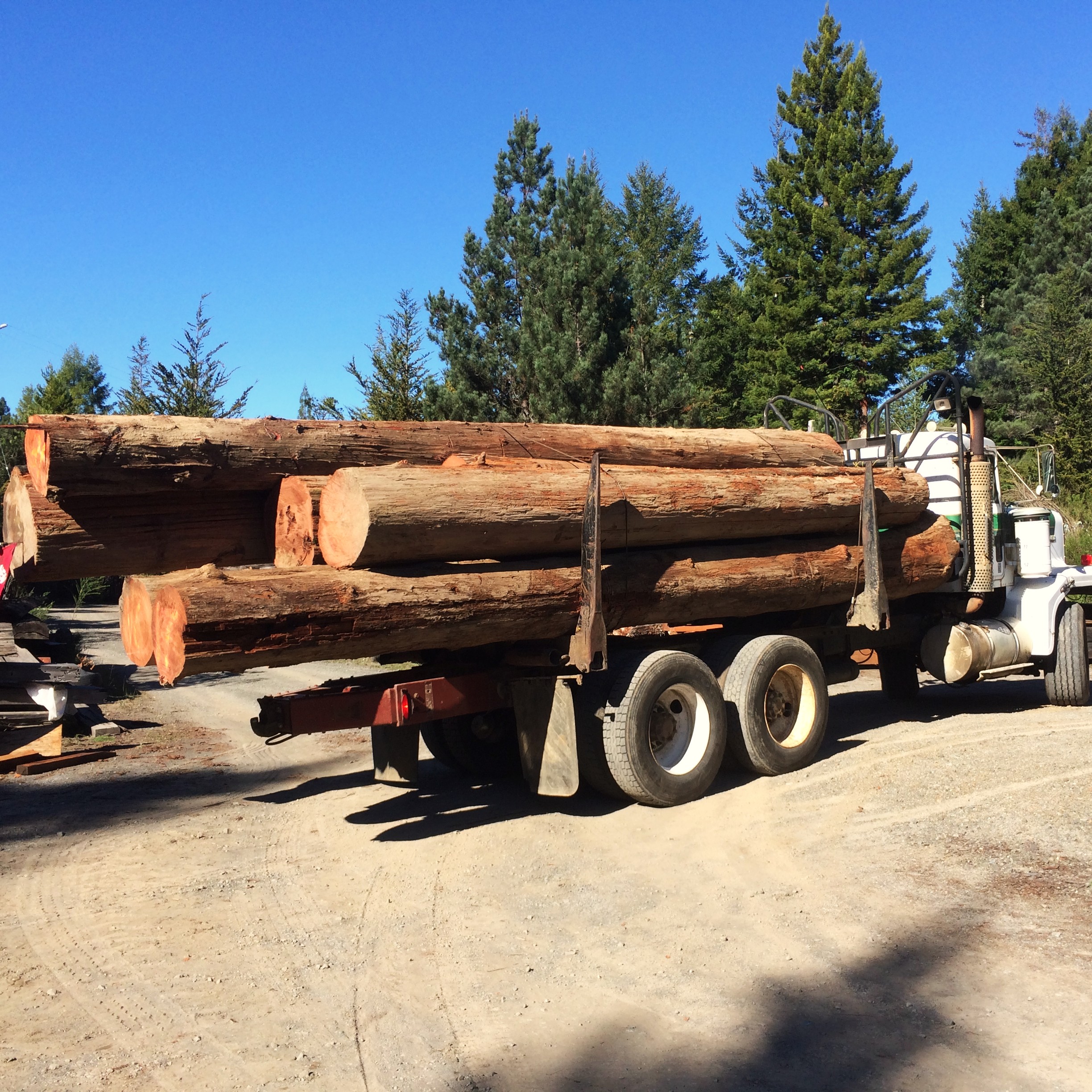Lumber